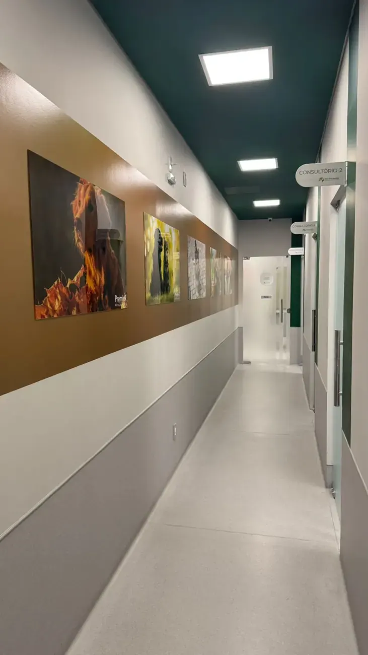 Acesso aos consultórios do Hospital Dog Star Essence